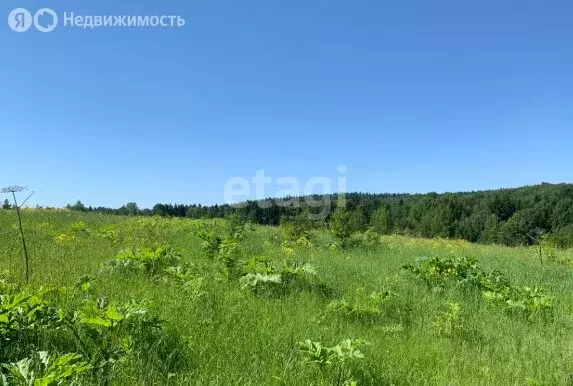 Участок в Пермский муниципальный округ, деревня Пашня (13.15 м) - Фото 1