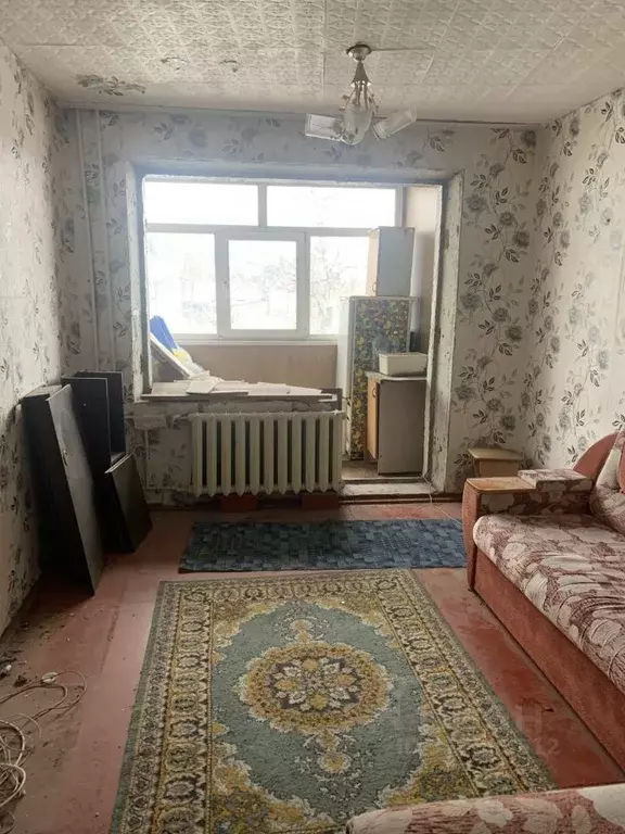 Комната Алтайский край, Барнаул ул. Новосибирская, 38к1 (14.0 м) - Фото 2