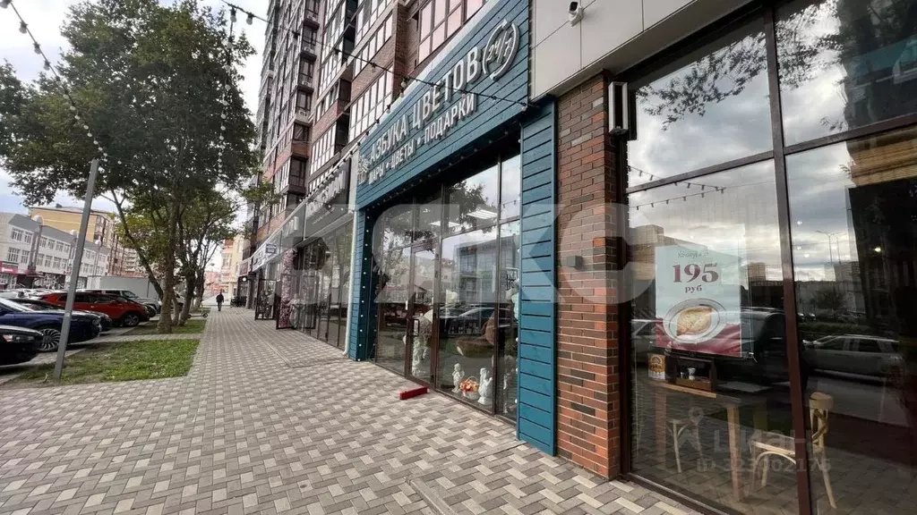 1-к кв. Краснодарский край, Анапа ул. Омелькова, 93 (38.0 м) - Фото 1