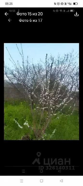 Участок в Нижегородская область, Сергачский муниципальный округ, с. ... - Фото 1