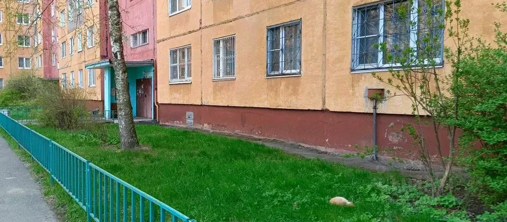 Помещение свободного назначения в Ярославская область, Ярославль ... - Фото 0