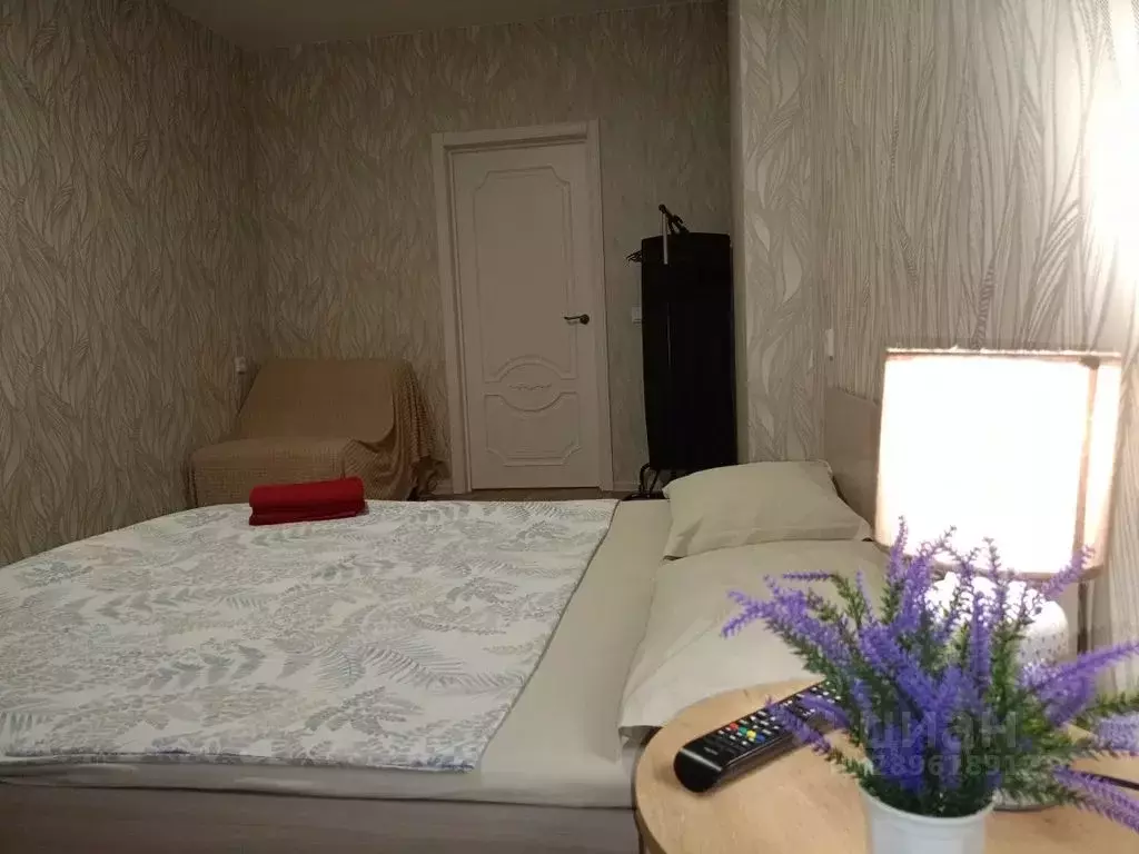 1-к кв. Новосибирская область, Новосибирск ул. Гоголя, 26 (43.0 м) - Фото 0