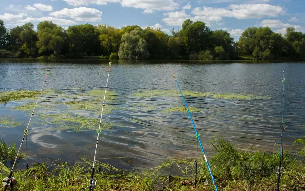 Участок в Московская область, Раменский муниципальный округ, Адмирал ... - Фото 2