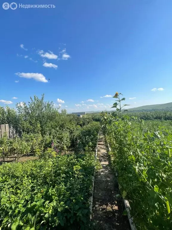 Участок в Забайкальский край, Краснокаменск (10 м) - Фото 0