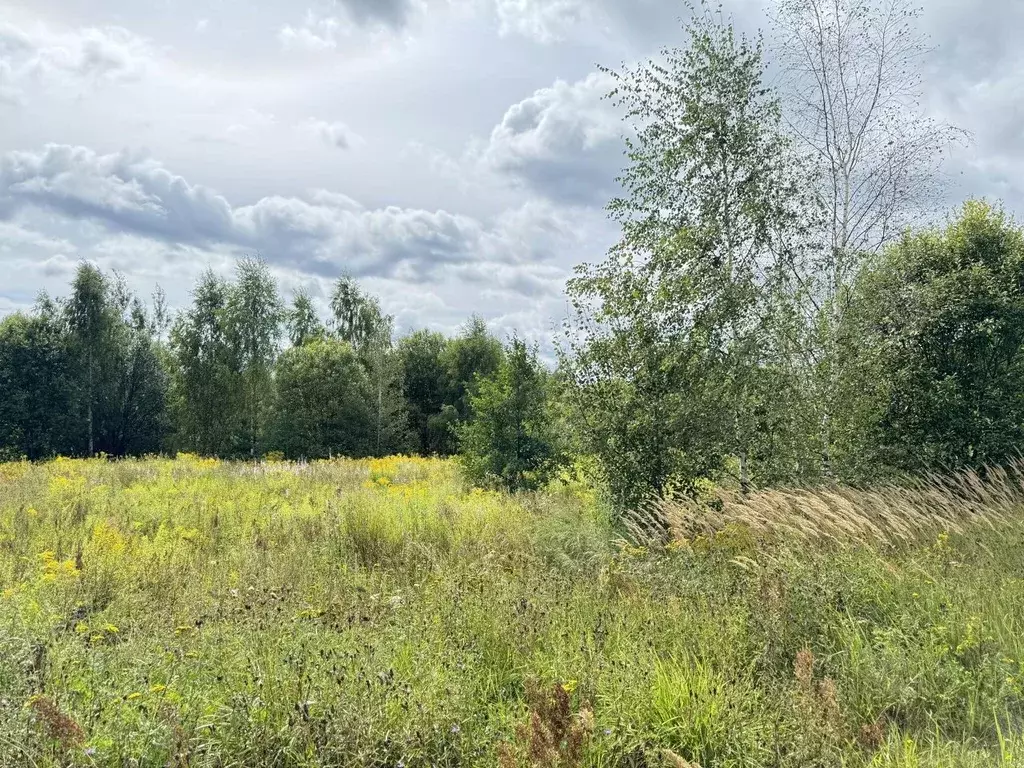 Участок в Владимирская область, Владимир д. Злобино,  (10.21 сот.) - Фото 0