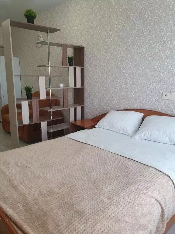 1-к кв. Иркутская область, Иркутск ул. Лызина, 9 (25.0 м) - Фото 2