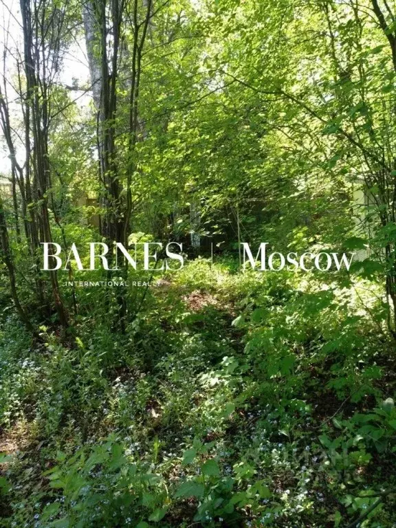 Участок в Московская область, Одинцовский городской округ, пос. ... - Фото 1