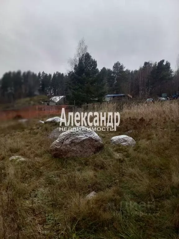 Участок в Ленинградская область, Приозерский район, Ромашкинское ... - Фото 0