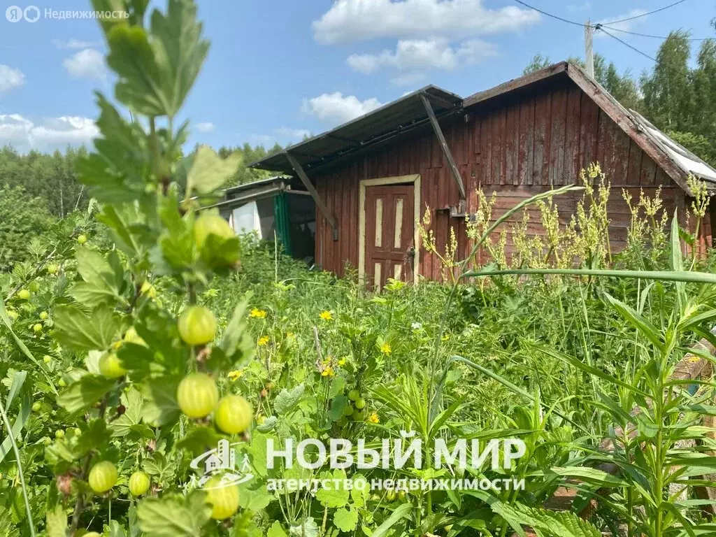 Дом в Бор, СНТ Восход №2 (15 м) - Фото 0
