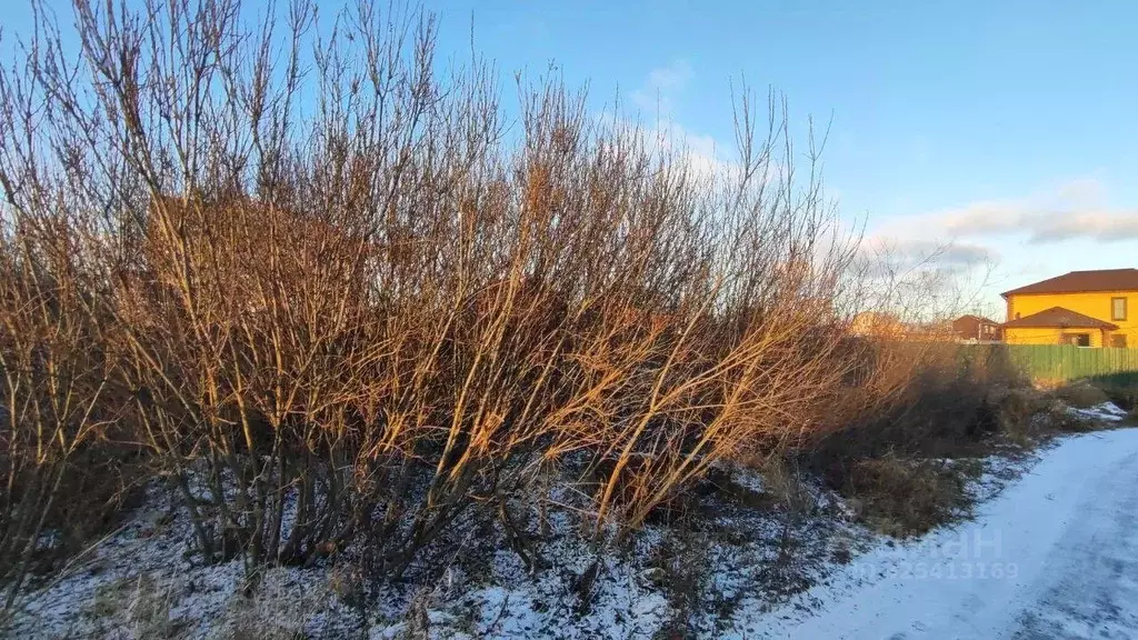 Участок в Московская область, Раменский муниципальный округ, с. ... - Фото 1