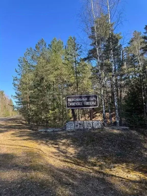 Участок в Смоленская область, Демидовский муниципальный округ, д. ... - Фото 1