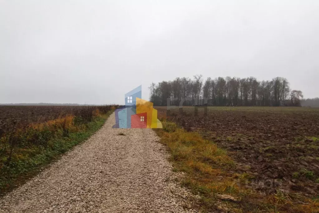 Участок в Тульская область, Новогуровский рп ул. Белкина, 5 (670.0 ... - Фото 1