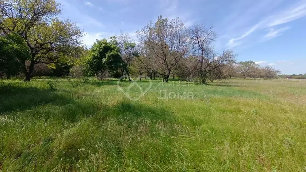 Участок в Волгоградская область, Среднеахтубинский район, Кировское ... - Фото 0