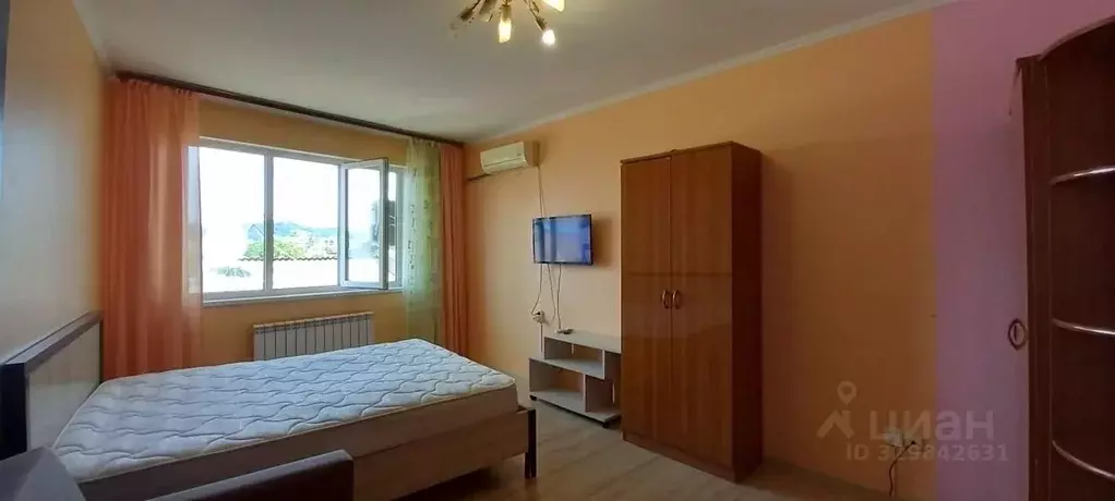 1-к кв. Краснодарский край, Сочи Новый Сочи мкр, ул. Санаторная, 42/34 ... - Фото 1