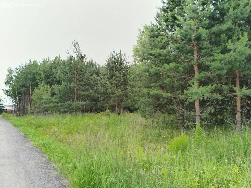 Участок в Раменское, КП Дергаево-2 (12.5 м) - Фото 0