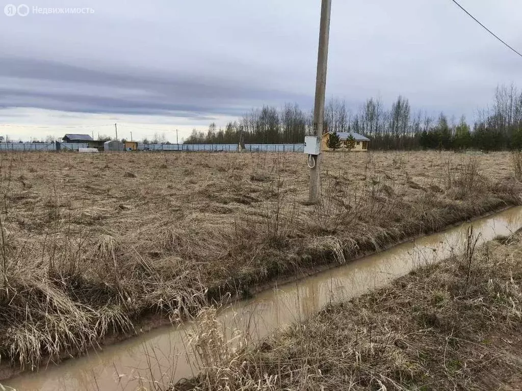 Участок в Новгородский муниципальный район, Ракомское сельское ... - Фото 2
