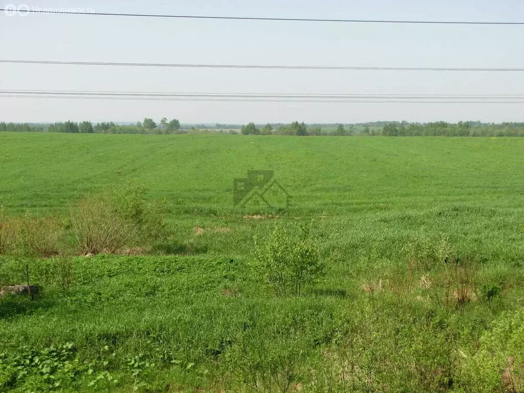 Участок в Большие Кургузи, Цветочная улица, 94 (6.7 м) - Фото 1