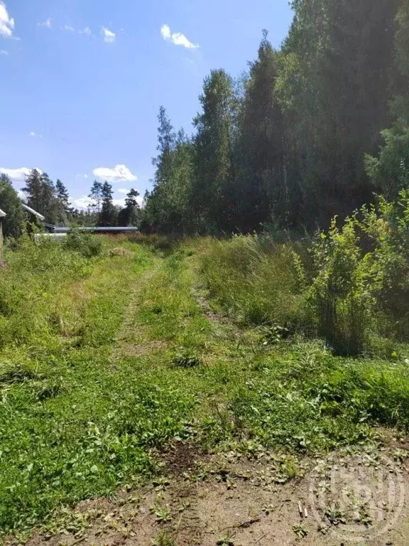 Участок, 11.2 сот., поселения (ижс) - Фото 1