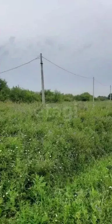 Участок в Кемеровская область, Новокузнецк ул. 3-я Телеутская (15.0 ... - Фото 1