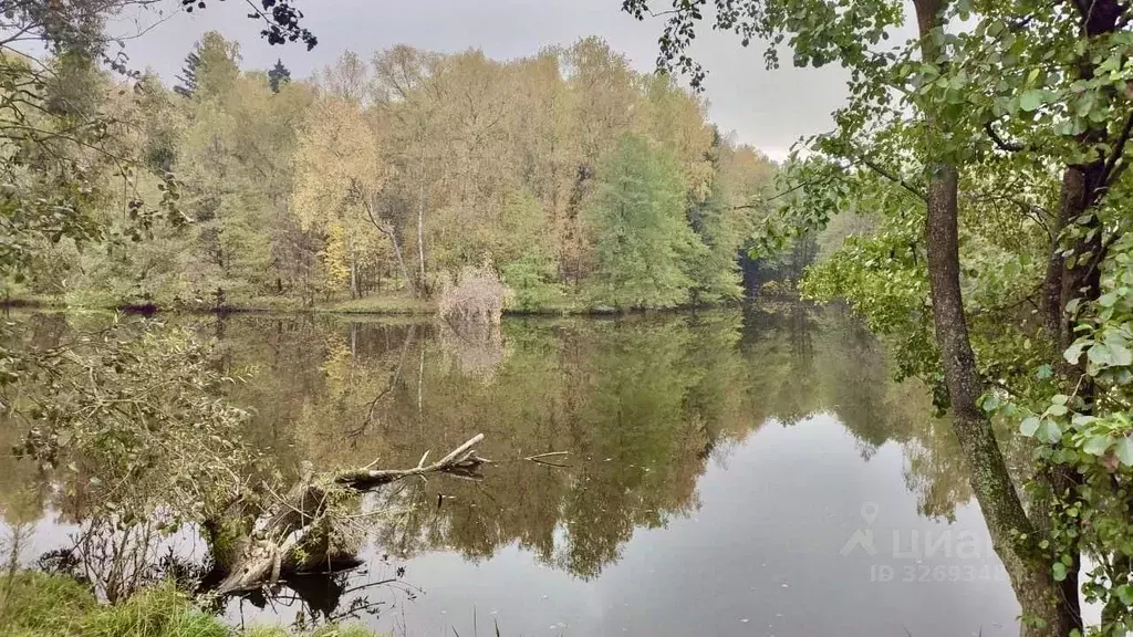 Участок в Московская область, Домодедово городской округ, с. Красный ... - Фото 2
