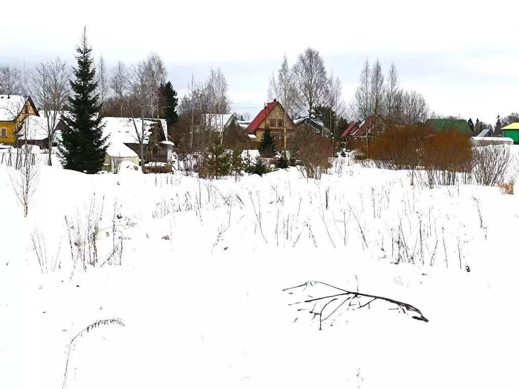 Участок в Ленинградская область, Гатчинский муниципальный округ, д. ... - Фото 1