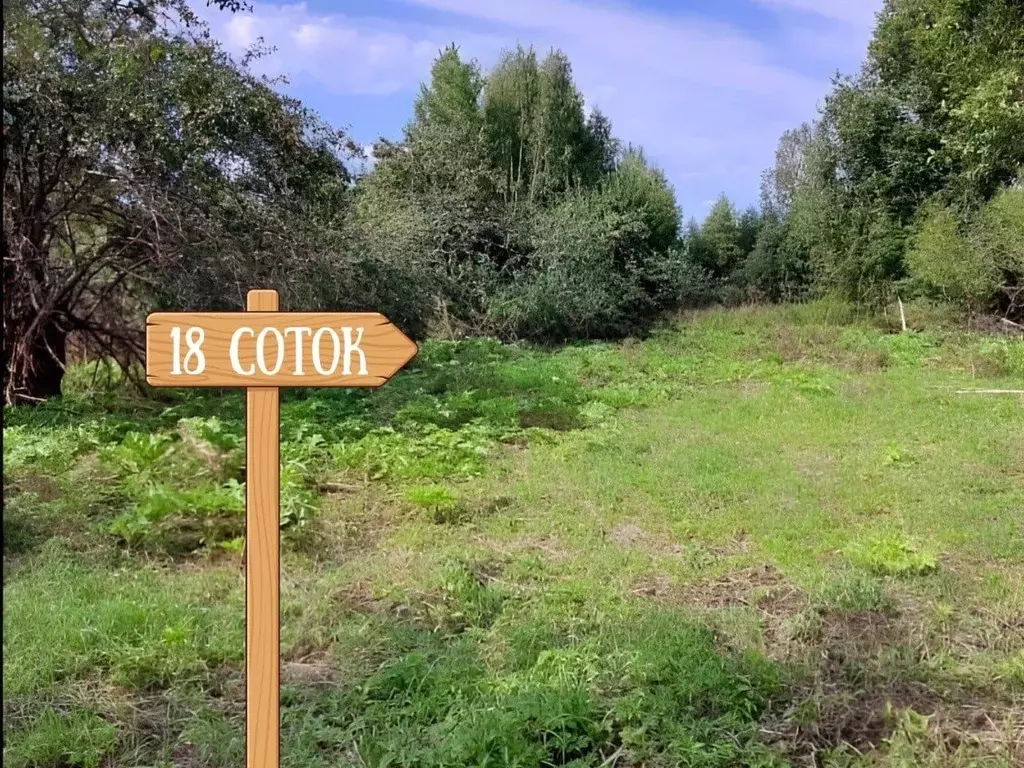 Участок в Тверская область, Конаковский муниципальный округ, д. ... - Фото 2