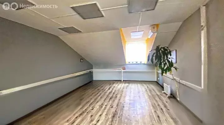 Помещение свободного назначения (24.7 м) - Фото 2