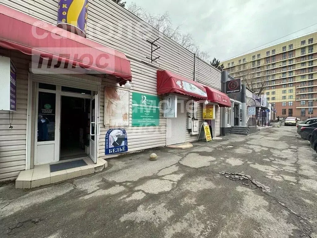Торговая площадь в Ставропольский край, Ставрополь ул. Ленина, 308 (37 ... - Фото 1