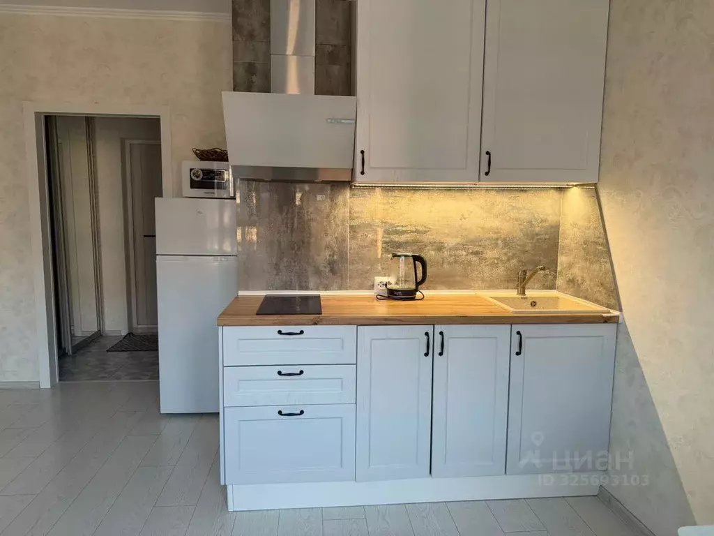 Студия Краснодарский край, Анапа ул. Ивана Голубца, 147 (28.0 м) - Фото 1