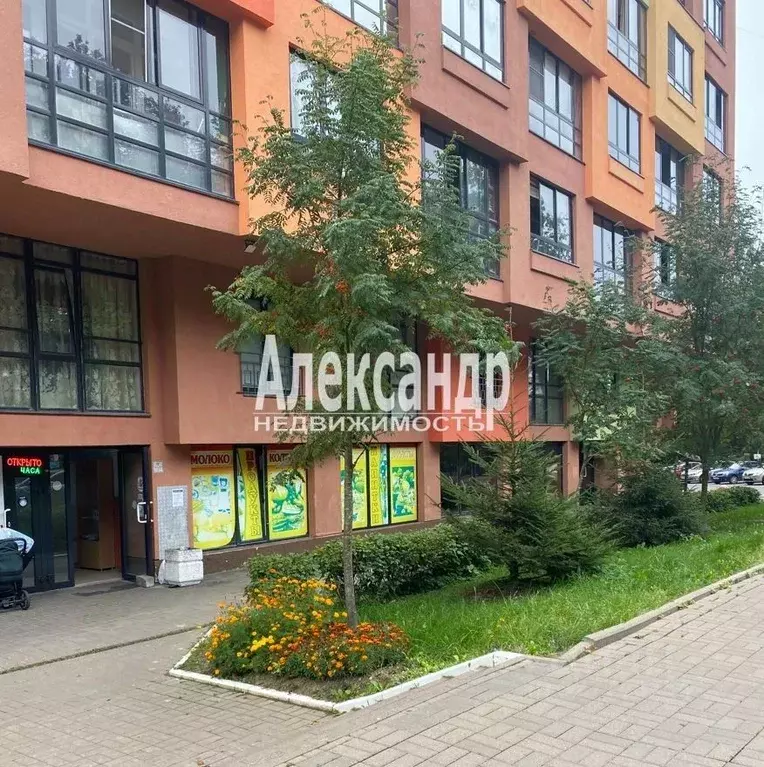 Торговая площадь в Ленинградская область, Всеволожск ул. Шишканя, 14 ... - Фото 1