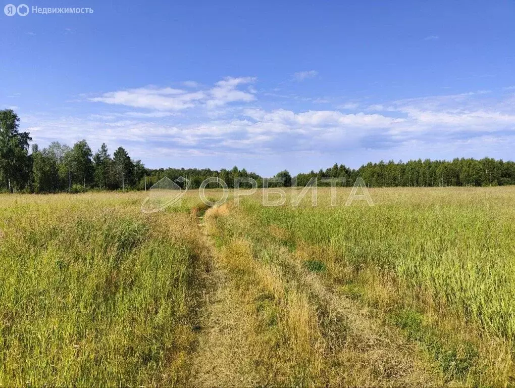 Участок в Тюменский район, деревня Ушакова, микрорайон Молодёжный ... - Фото 1