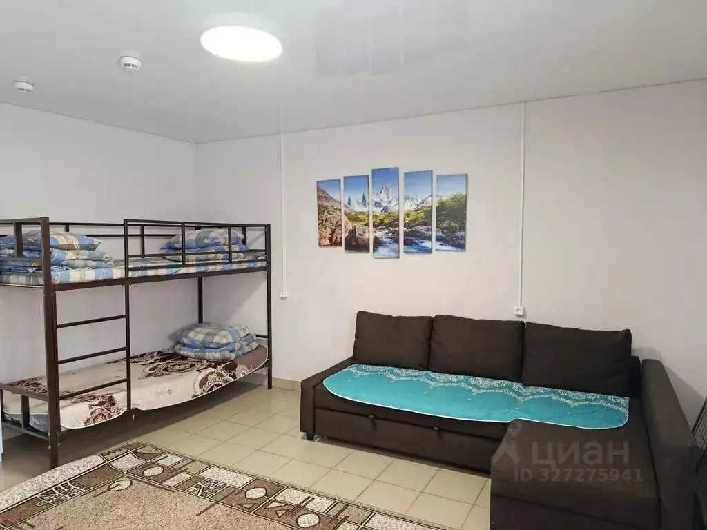 Студия Башкортостан, Кушнаренковский сельсовет, с. Кушнаренково ул. ... - Фото 2