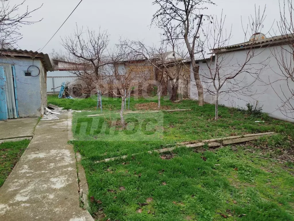 Дом в Севастополь с. Орловка, ул. Школьная, 24 (52 м) - Фото 1