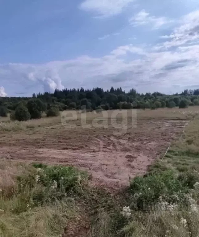 Участок в Вологодская область, Шекснинский район, с. Чуровское  (14.2 ... - Фото 1