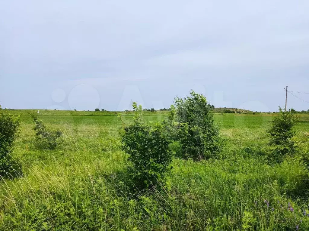 Участок 3,71 га (СНТ, ДНП) - Фото 1