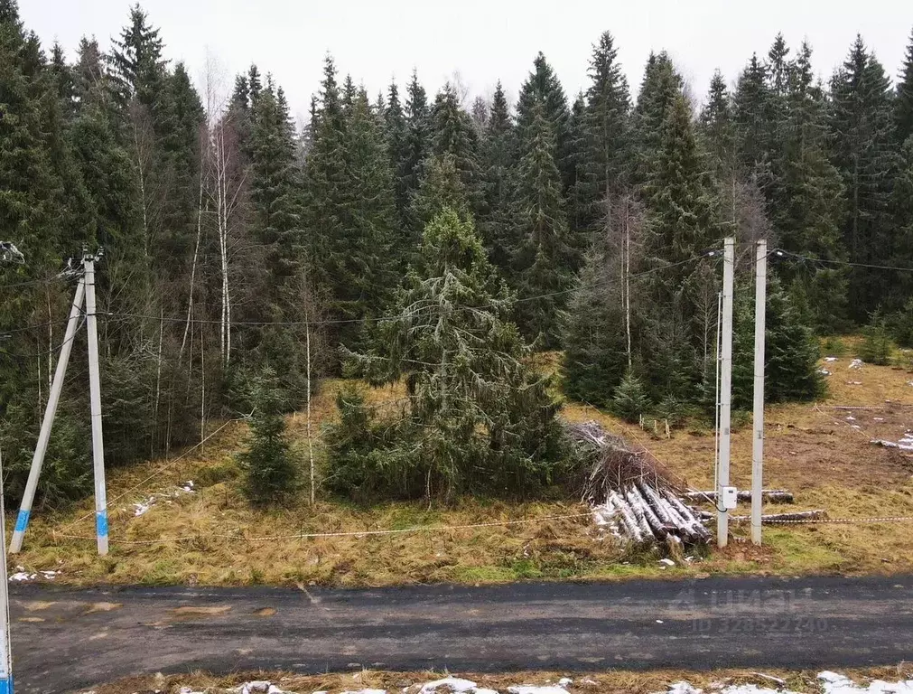 Участок в Московская область, Дмитровский муниципальный округ, ... - Фото 1