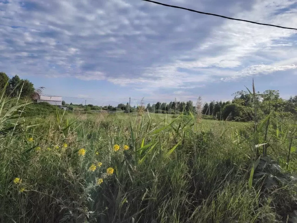 Участок в Тюменская область, Тюмень Поле Чудес-2 садовое товарищество, ... - Фото 1