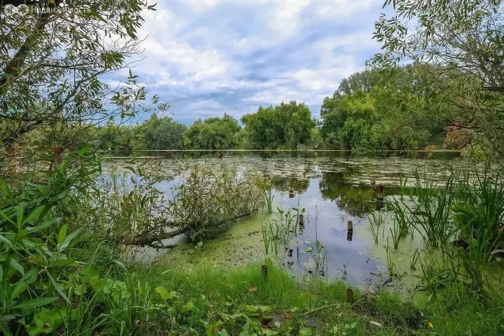 Участок в Новосибирский район, Каменский сельсовет, посёлок Восход ... - Фото 1
