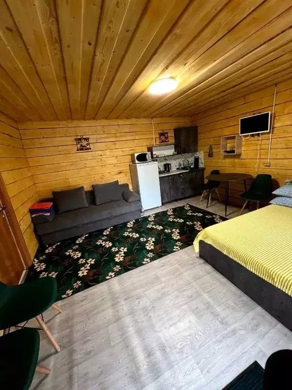 Дом в Алтай, Улаганский район, с. Акташ Ленинская ул., 17Б (24 м) - Фото 2