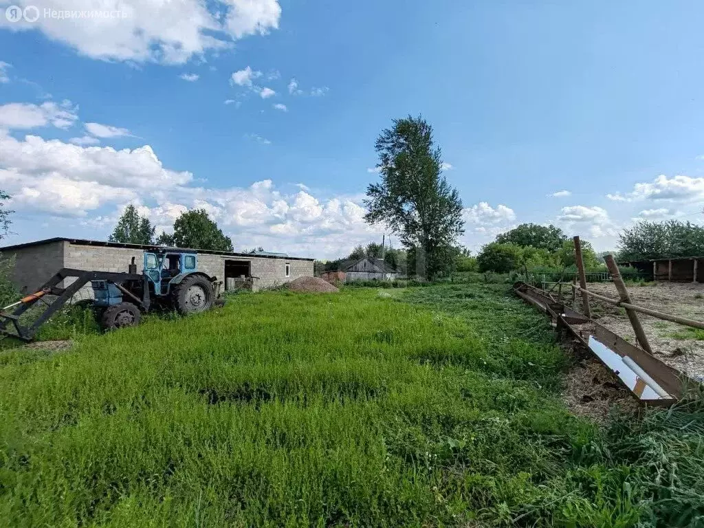 Дом в Талалаевка, Молодёжная улица (44 м) - Фото 1