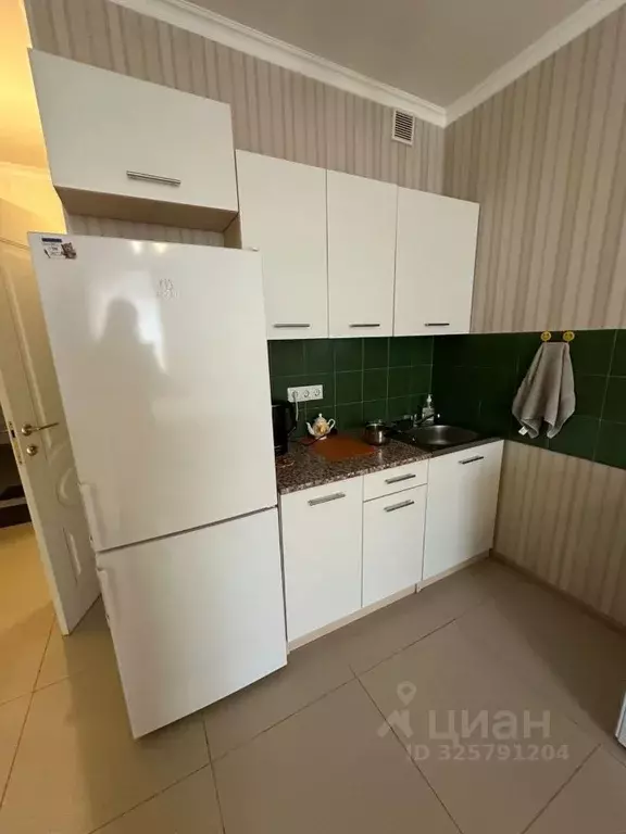 Студия Московская область, Одинцовский городской округ, с. Немчиновка ... - Фото 1