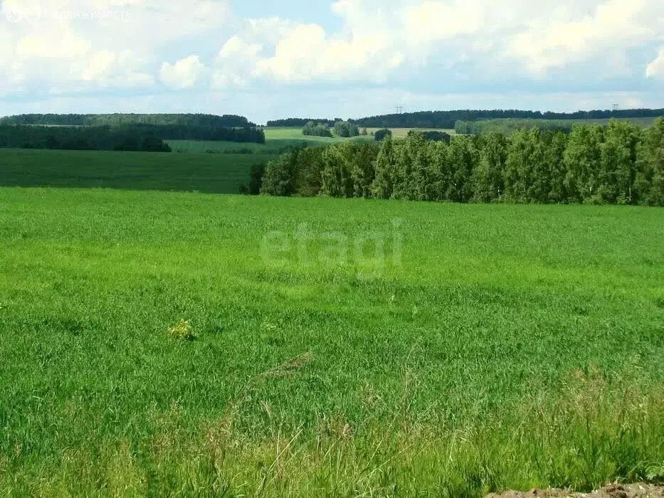Участок в Марьянское сельское поселение, садовое товарищество КСТ ... - Фото 0
