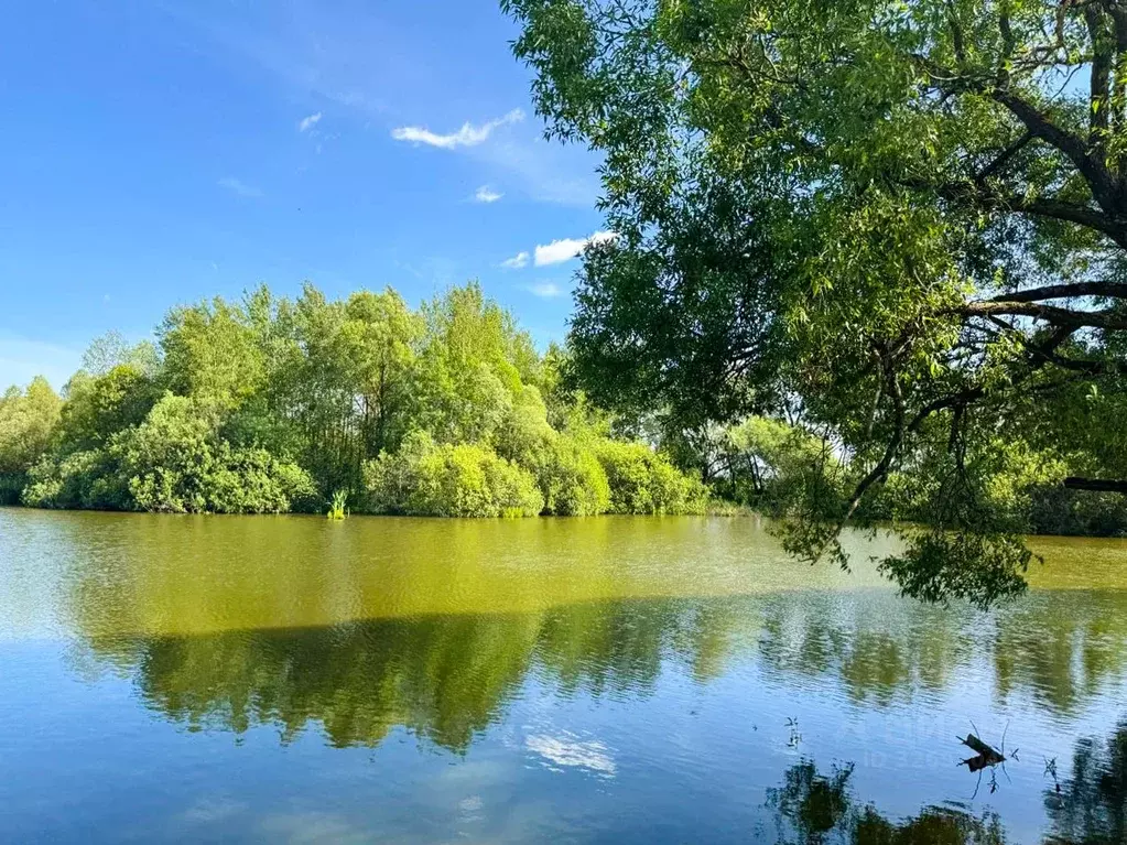 Участок в Московская область, Домодедово Барыбино мкр, ул. Центральная ... - Фото 1