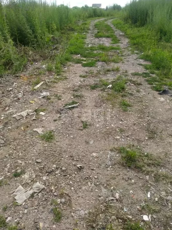 Участок в Амурская область, Благовещенский район, с. Волково  (10.0 ... - Фото 1
