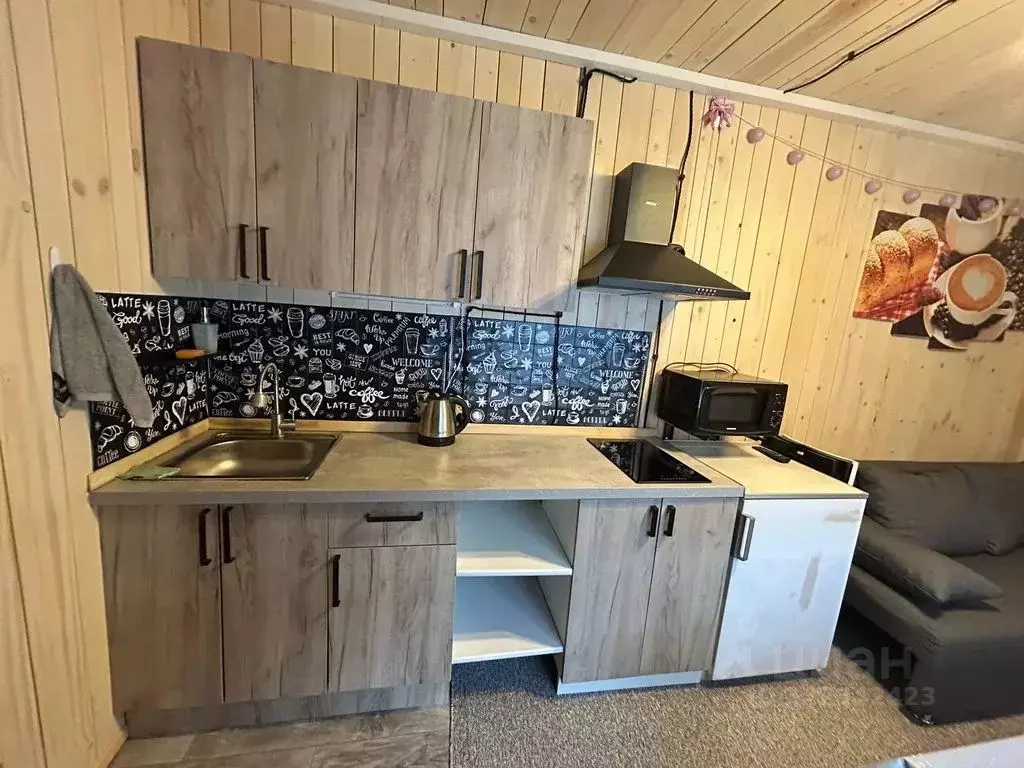 Дом в Ленинградская область, Приозерский район, Красноозерное с/пос, ... - Фото 2