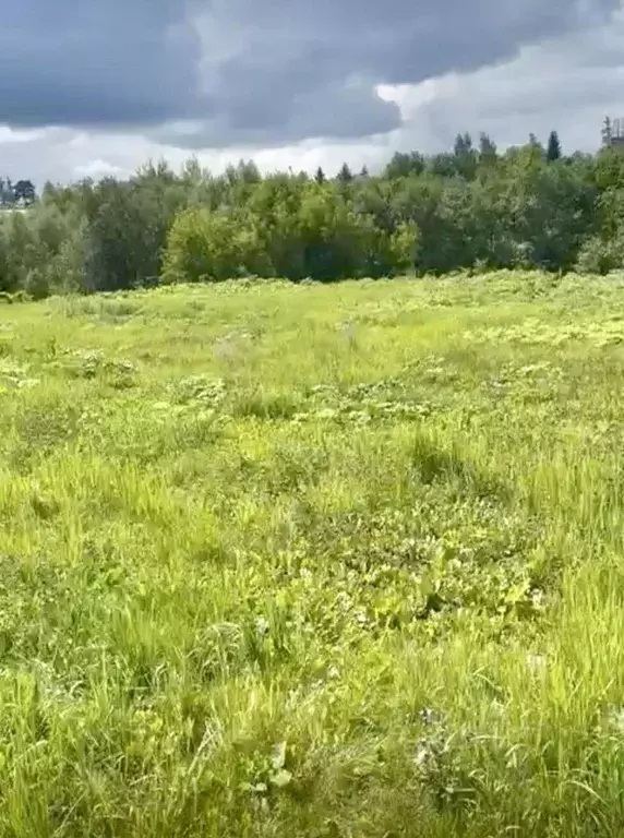 Участок в Московская область, Одинцовский городской округ, д. ... - Фото 2