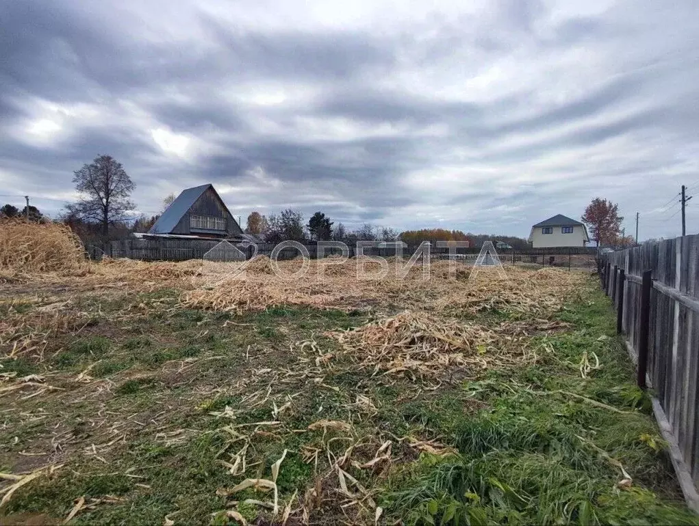 Участок в Тюменская область, Нижнетавдинский район, пос. Лесозаводский ... - Фото 1