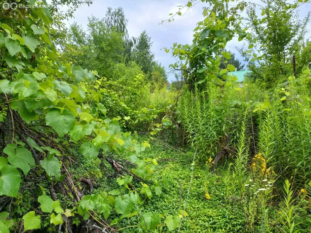 Дом в Рамонский район, Новоживотинновское сельское поселение, СНТ ... - Фото 0