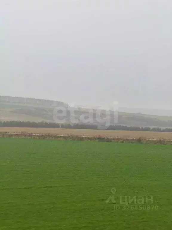 Участок в Нижегородская область, Дальнеконстантиновский муниципальный ... - Фото 2