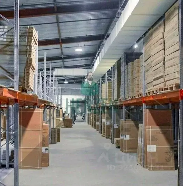 Склад в Московская область, Дзержинский Денисьевский проезд, 15 (1720 ... - Фото 2